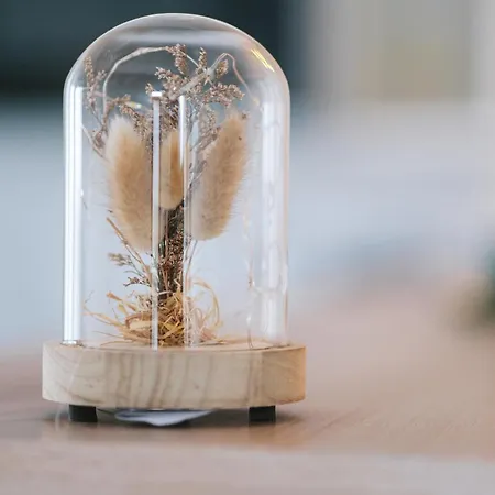 Lägenhet Superbe T2 Avec Jardin + Parking Gratuit A Proximite *