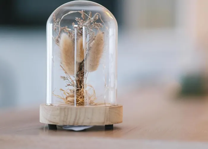 Apartment Superbe T2 Avec Jardin + Parking Gratuit A Proximite *